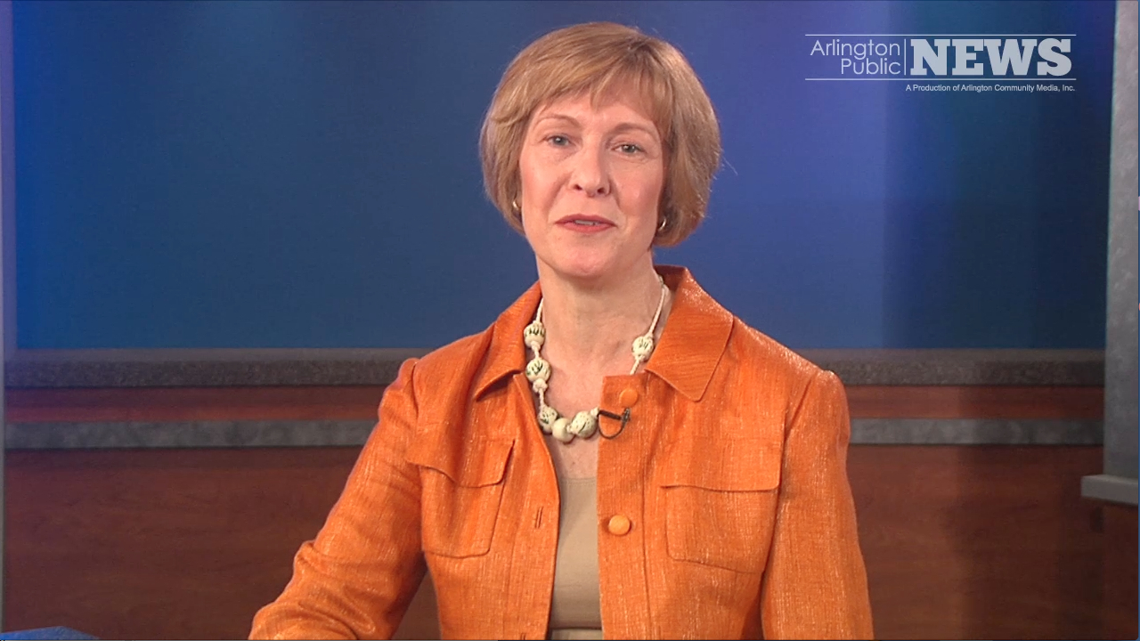 2014 State Primary – Auditor: Suzanne Bump (D)