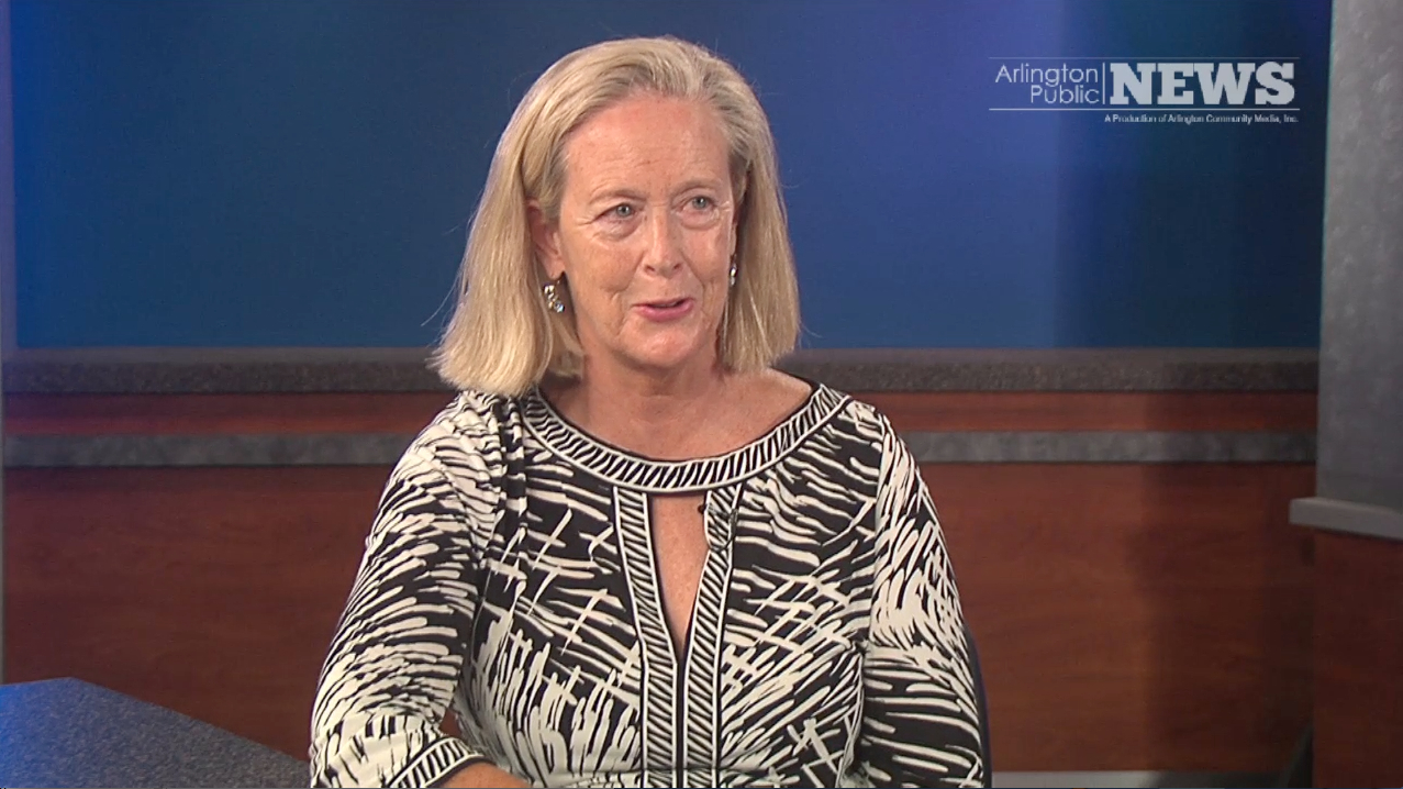 2014 State Primary – Auditor: Patricia S. Saint Aubin (R)