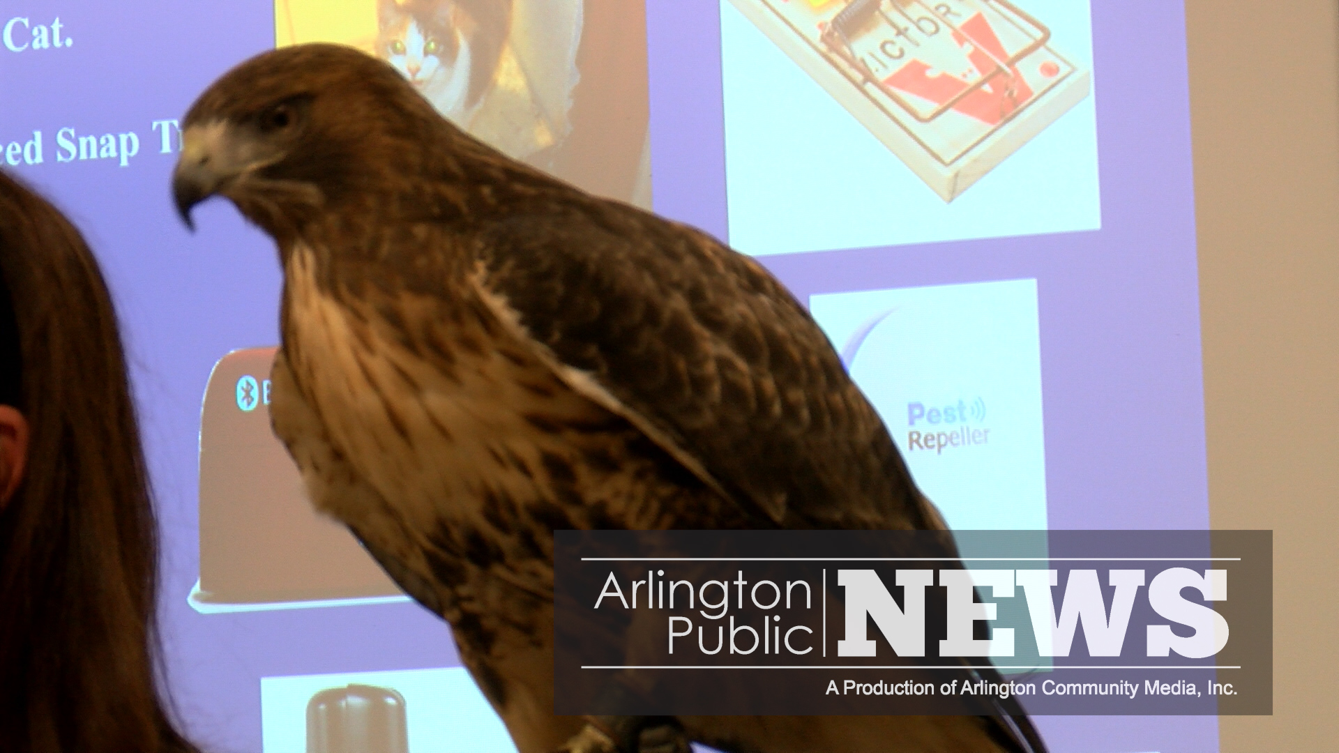 The Best Way to Get Rid of Rats - Arlington Community Media