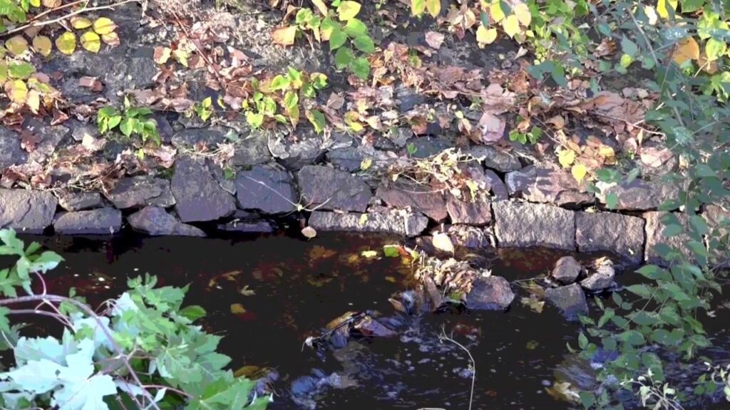 Scenes of the Seasons – Wellington Park Arlington – Fall 2019 Scenes of the Seasons – Wellington Park Arlington – Fall 2019