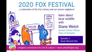 2020 Fox Festival: Meet a Great Horned Owl with Diane Welch