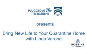 PLUGGED iN: BRiNG NEW LiFE TO YOUR QUARANTiNE HOME