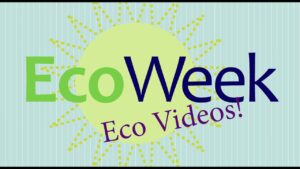 EcoWeek 2021 Videos