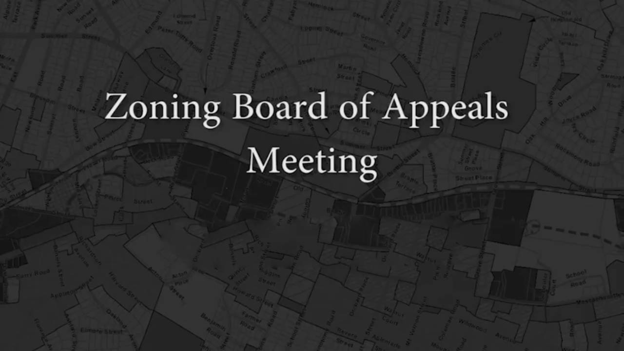 Zoning Board of Appeals