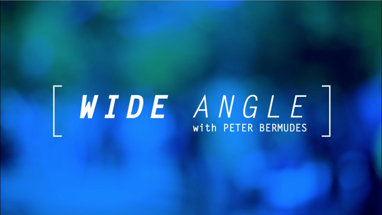 Wide Angle with Peter Bermudes